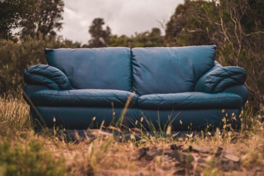 sofa in nature - مسئولیت اجتماعی قرمز استوک