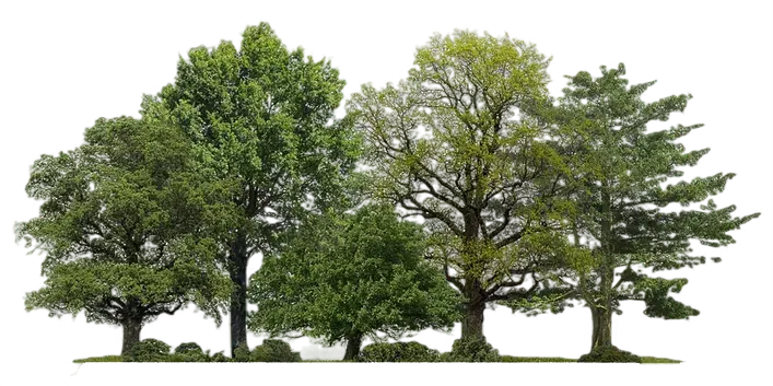 کمک به طبیعت 1 - مسئولیت اجتماعی قرمز استوک